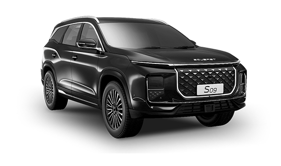 Цвета S09